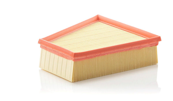 Mann Filter C 2295/2