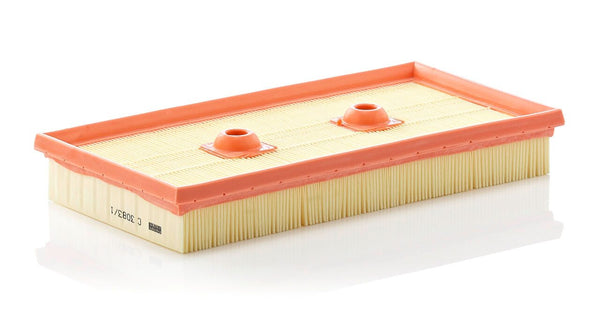 Mann Filter C 3083/1
